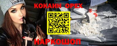 крисы Будённовск