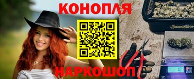крисы Будённовск