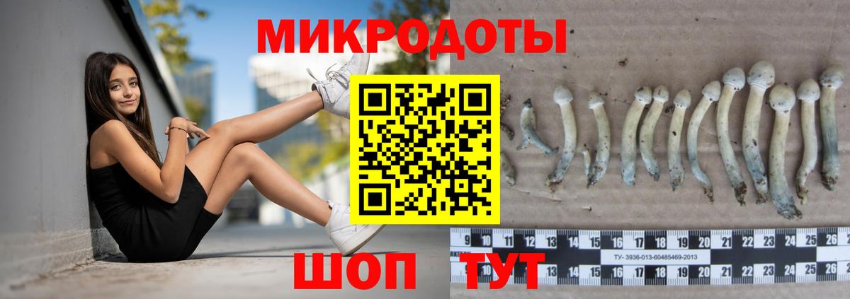 Карасук  Галлюциногенные грибы Psilocybine cubensis  Вход с VPN 